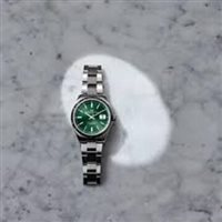 Watch Philip Watch Man in Steel R88253597115 - R88253597115